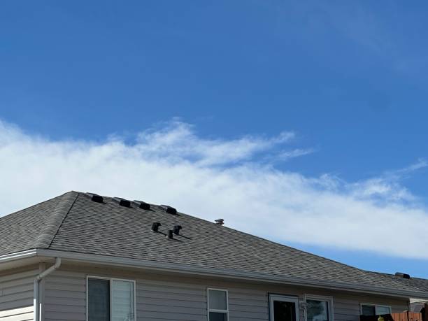 Best Roof Ventilation Installation  in Middletown, OH